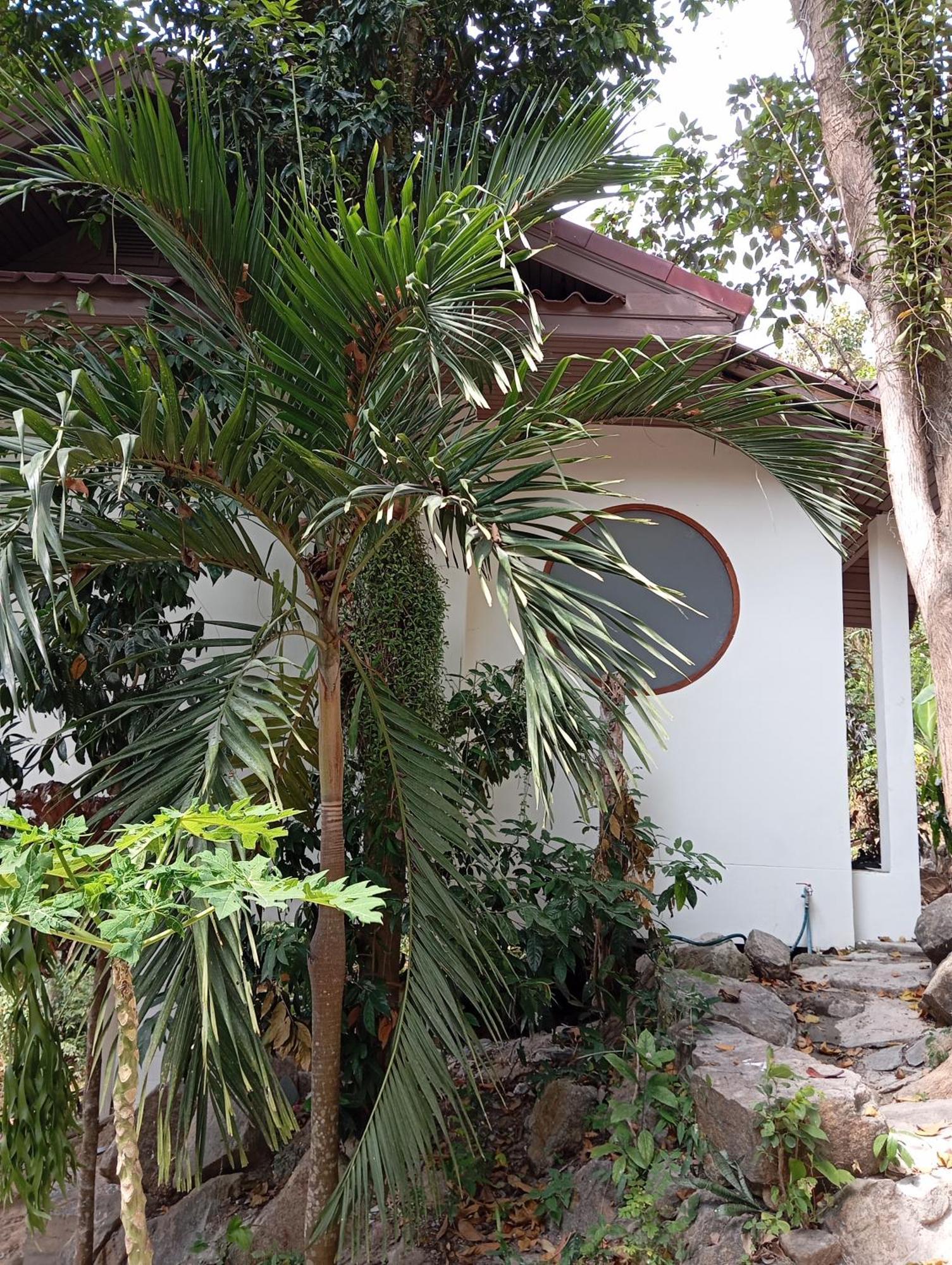 Villa Crocus Garden Haad Yao Esterno foto
